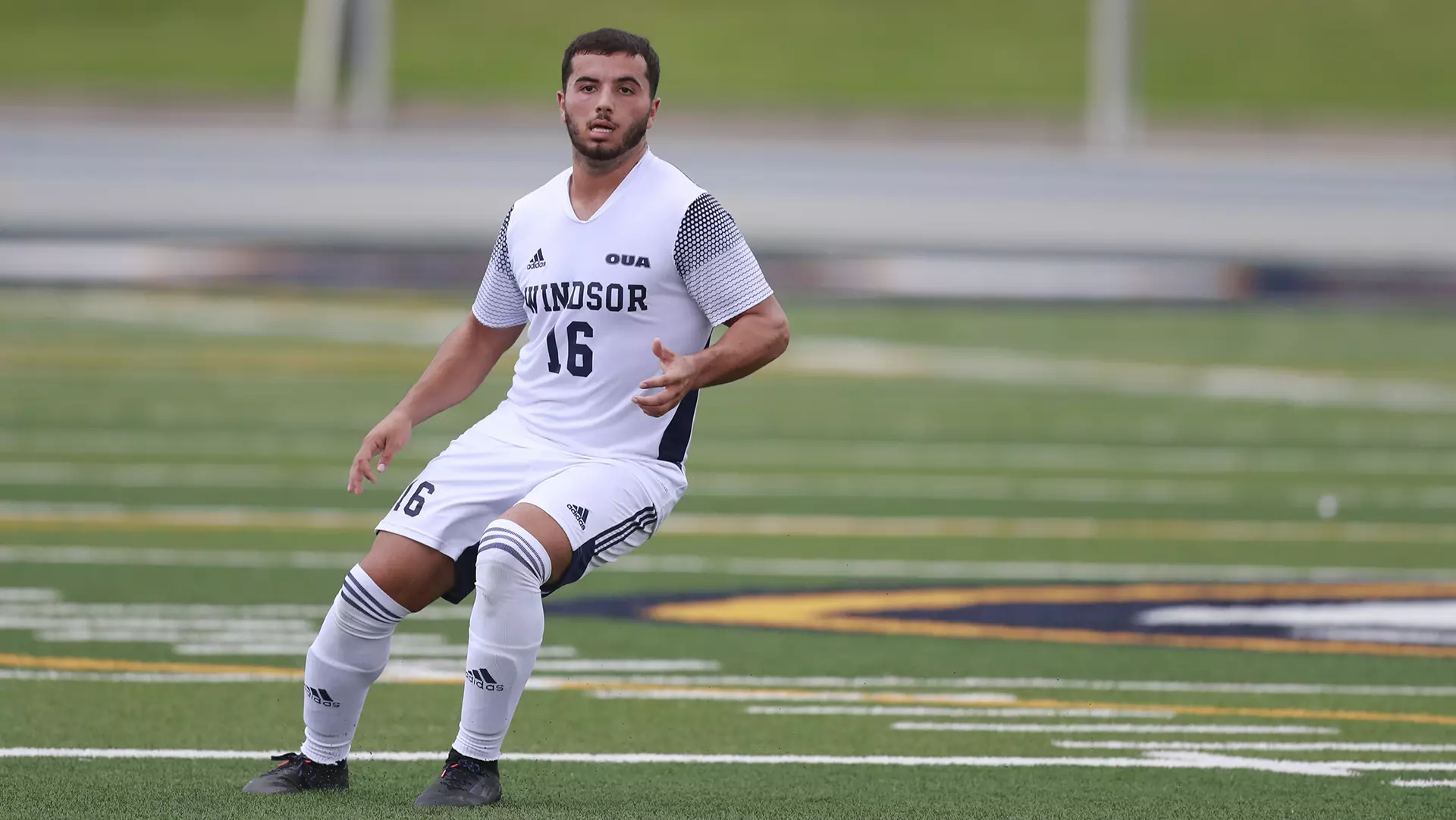 Hướng dẫn chi tiết cách đặt cược thể thao tại SABA Sports 13win